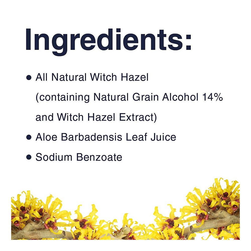 Dickinson Original Witch Hazel Oil Controlling Towelettes - 20 Ea
