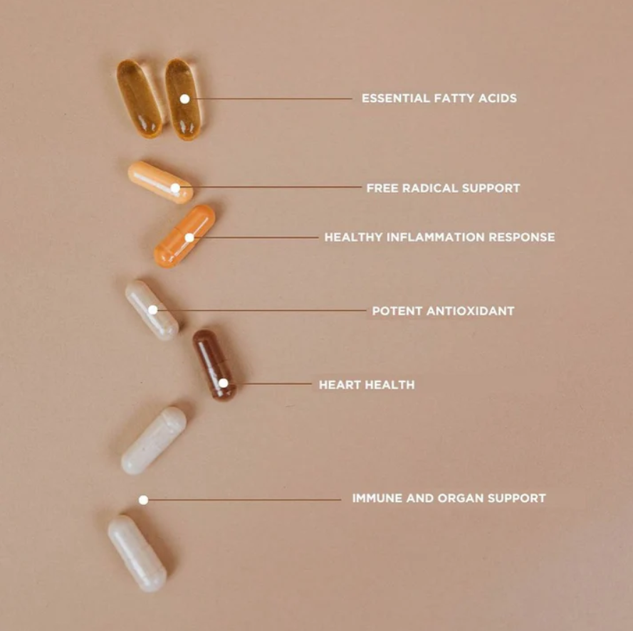Essential Vitamin 44 Pack