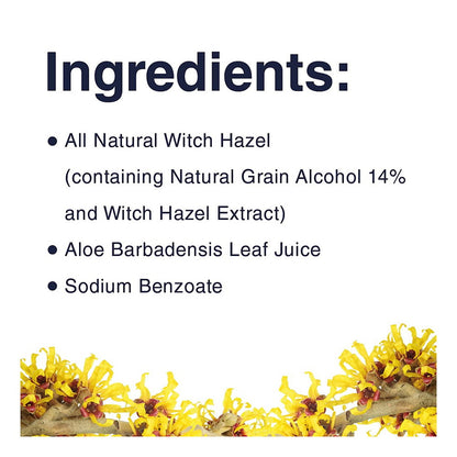 Dickinson Original Witch Hazel Oil Controlling Towelettes - 20 Ea