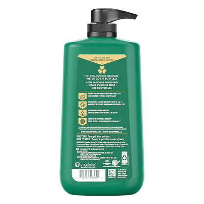 Irish Spring Moisture Blast Body Wash, 30 Oz