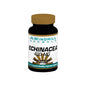 Windmill Herbals Echinacea 400 Mg Capsules 60 Capsules
