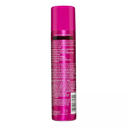 Everpro Gray Away Instant Root Cover Up Spray Black 2.5Oz