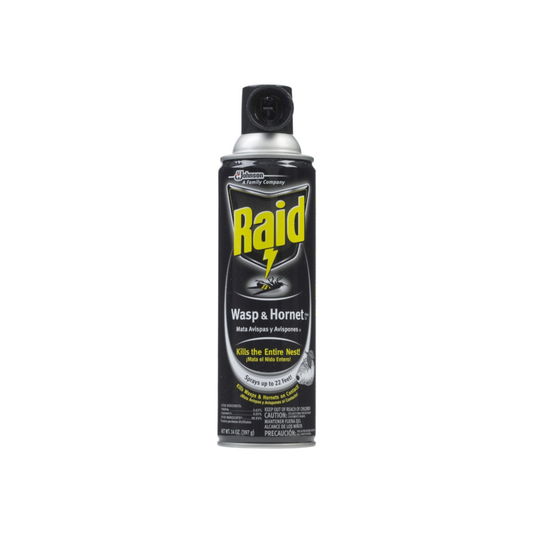 Raid Wasp & Hornet Killer Spray 14 Oz