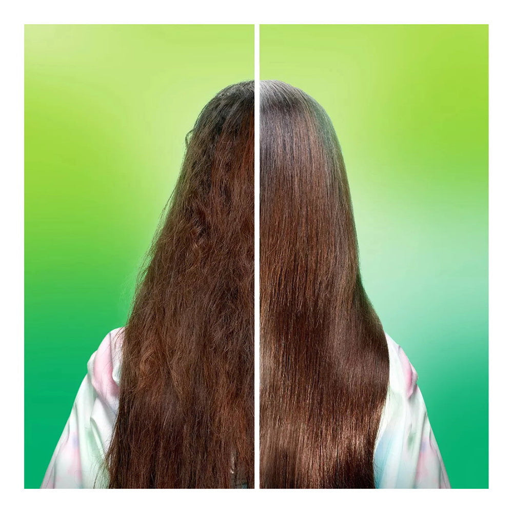 Garnier Fructis Sleek & Shine Moroccan Sleek Oil Treatment 3.75 Oz