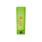 Garnier Fructis Sleek & Shine Fortifying Conditioner 12 Oz