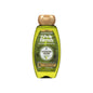 Garnier Whole Blends Legendary Olive Replenishing Shampoo 12.5 Oz