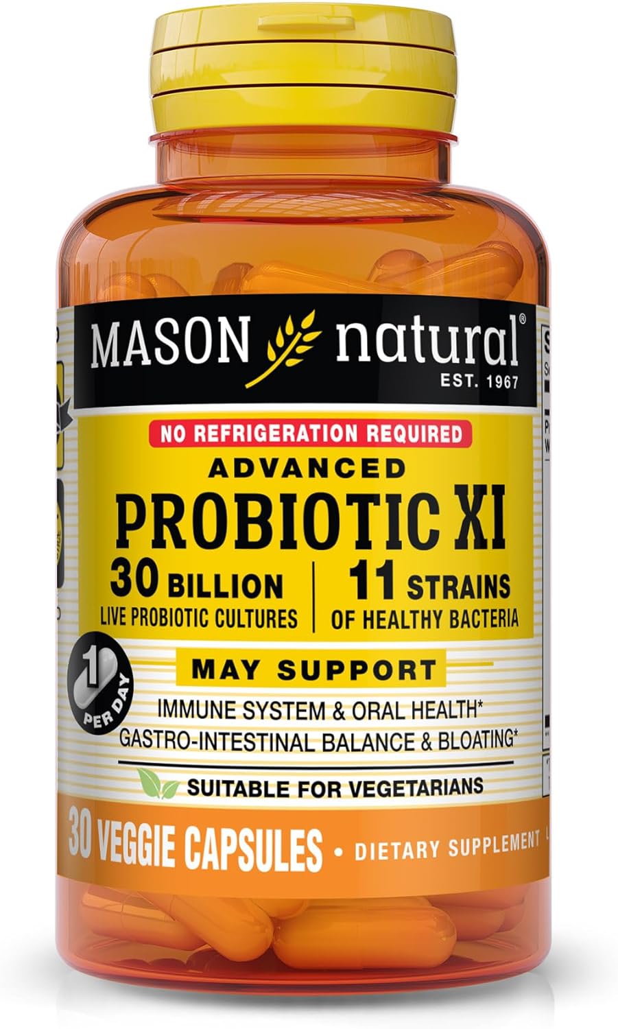Mason Natural Advanced Probiotic Dual Action Formula, For Healthy Digestion - 30 Ct