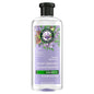 Herbal Essences Jojoba Oil & Lavender Curls Shampoo 13.5 oz