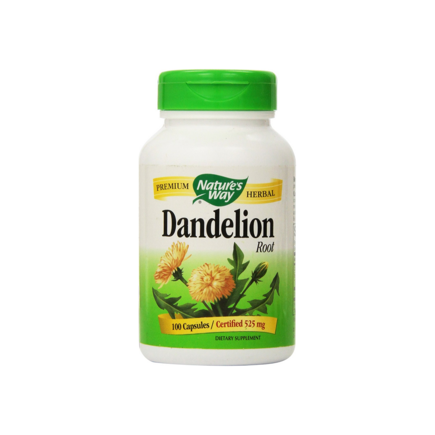 Nature'S Way Dandelion Root Capsules 100 Ea