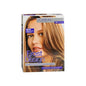 L'Oreal Frost & Design Highlights